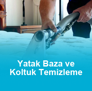 Gümüşhane Koltuk Yıkama